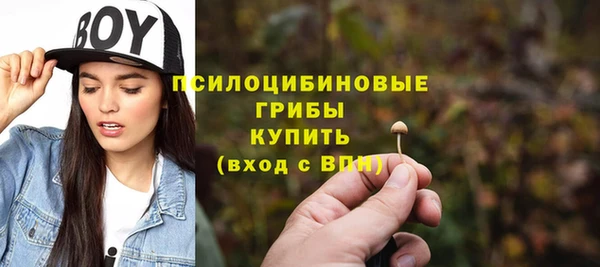 PSILOCYBIN Богородск